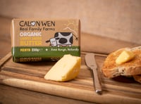 Calon Wen encouraging dairy farmers to go organic