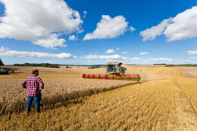 Harvest