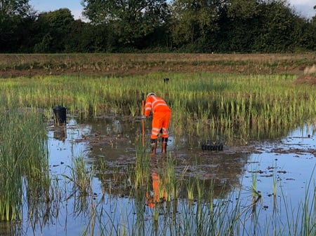 Luston Wetlands has been officially opened 