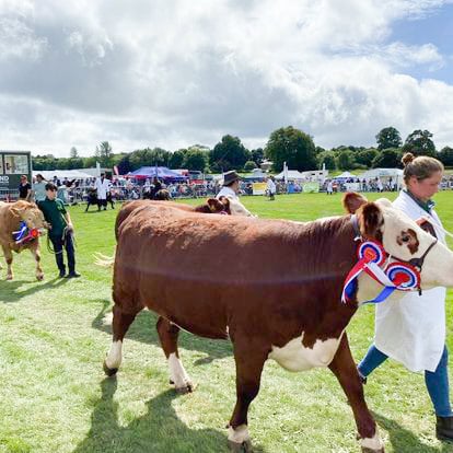 A winning entry at Chepstow Show