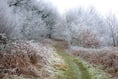 Join Lower Wye Ramblers on Coppett Hill walk
