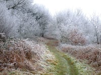 Join Lower Wye Ramblers on Coppett Hill walk
