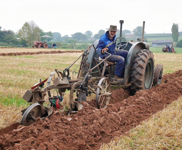 Annual ploughing match returns on Sunda