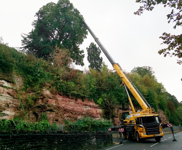 Unstable cliff top tree closes road