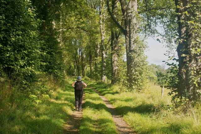 Ramble on three Forest villages walk