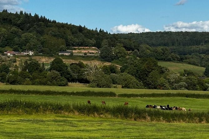 The Newton Court SSSI with the Dixton development site in the foreground