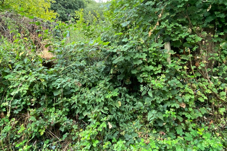 An impassable stile on a right of way on Manson Lane a mile from Monmouth