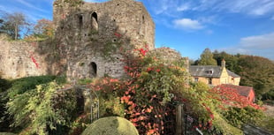 Castle storms it with National Gardens honour